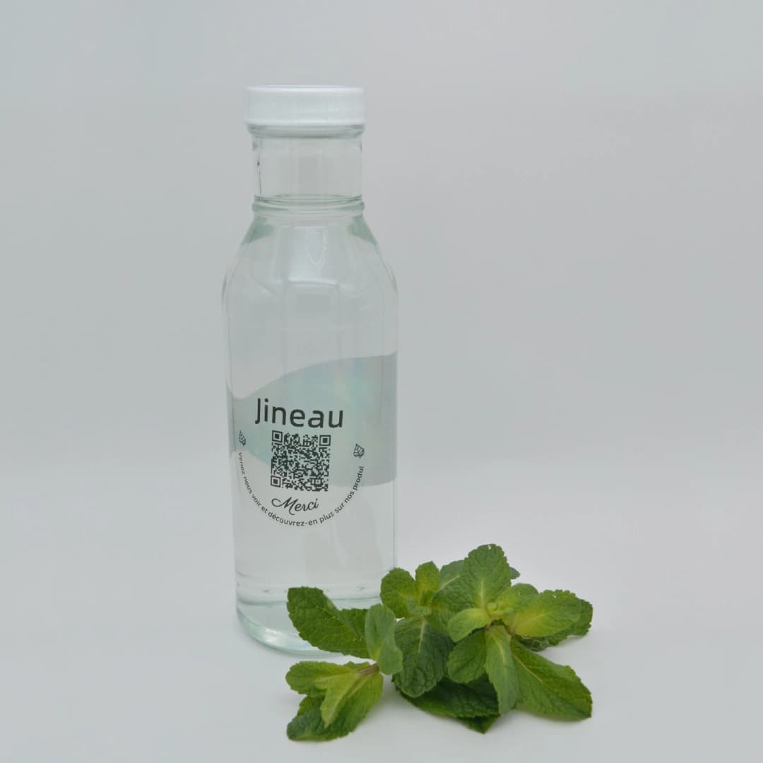 Mint Hydrosol thumbnail 2