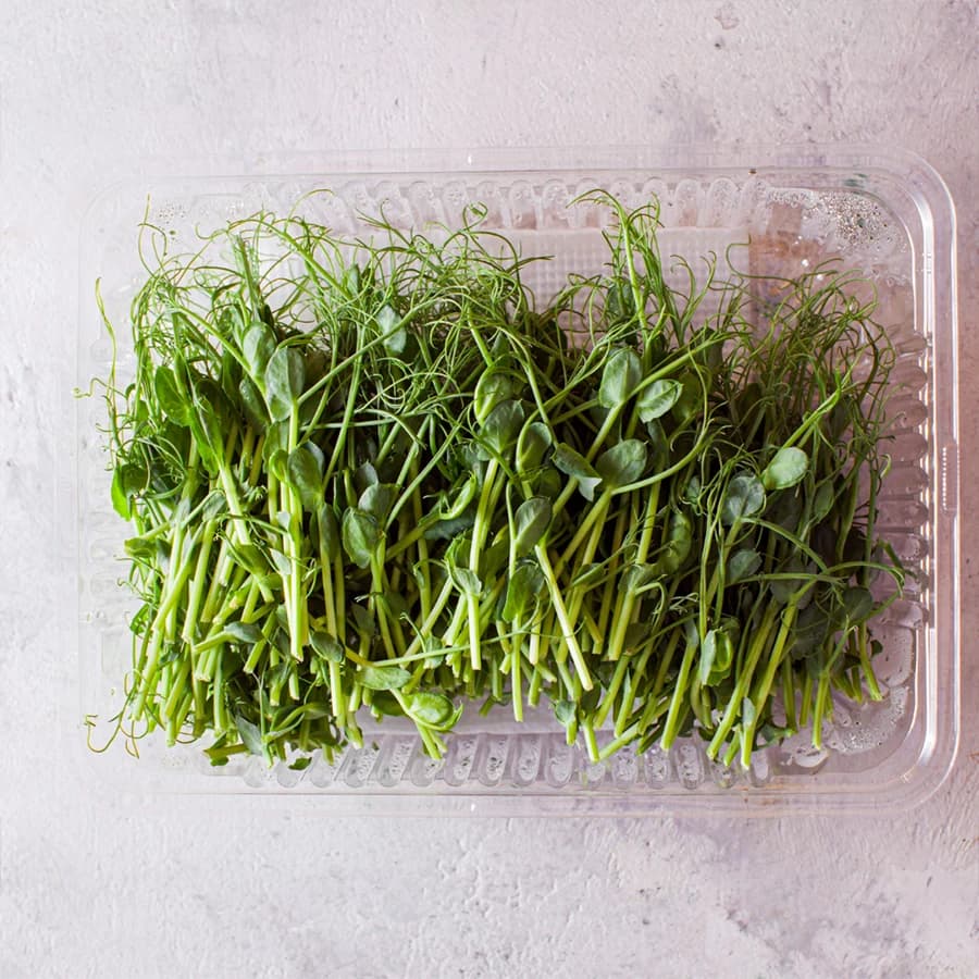 Pea Shoots Microgreens thumbnail 6